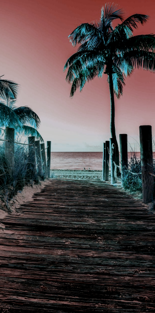 vacation packages